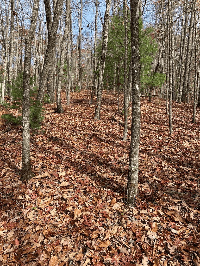 L334 335 Brushy Top Drive, Ellijay GA 30540 - Photo