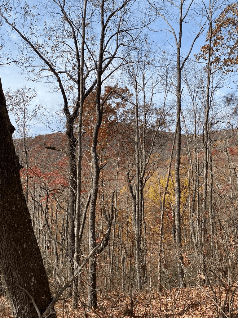 L334 335 Brushy Top Drive, Ellijay GA 30540 - Primary photo