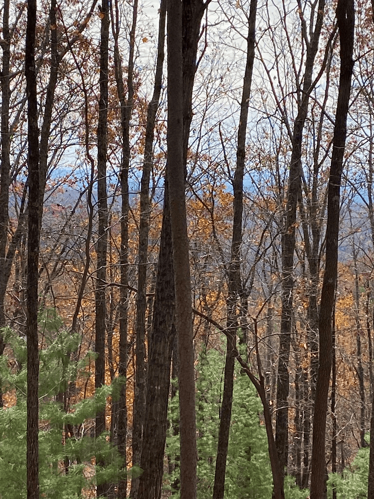 L334 335 Brushy Top Drive, Ellijay GA 30540 - Photo