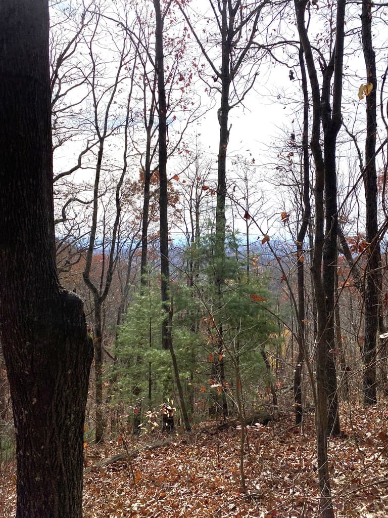 L334 335 Brushy Top Drive, Ellijay GA 30540 - Photo