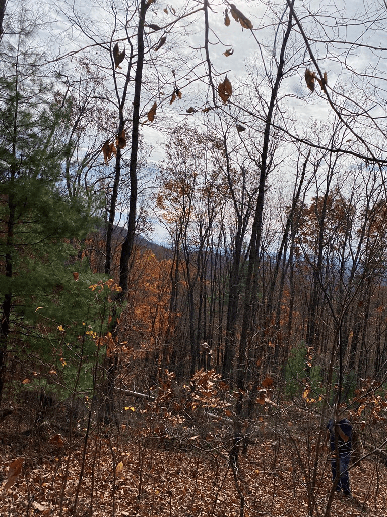 L334 335 Brushy Top Drive, Ellijay GA 30540 - Photo