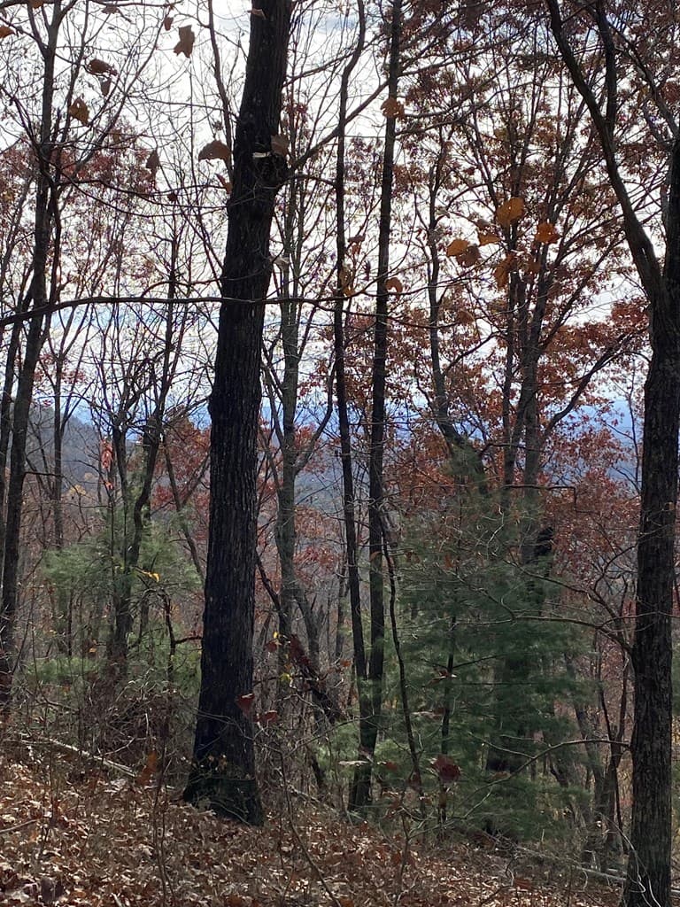 L334 335 Brushy Top Drive, Ellijay GA 30540 - Photo