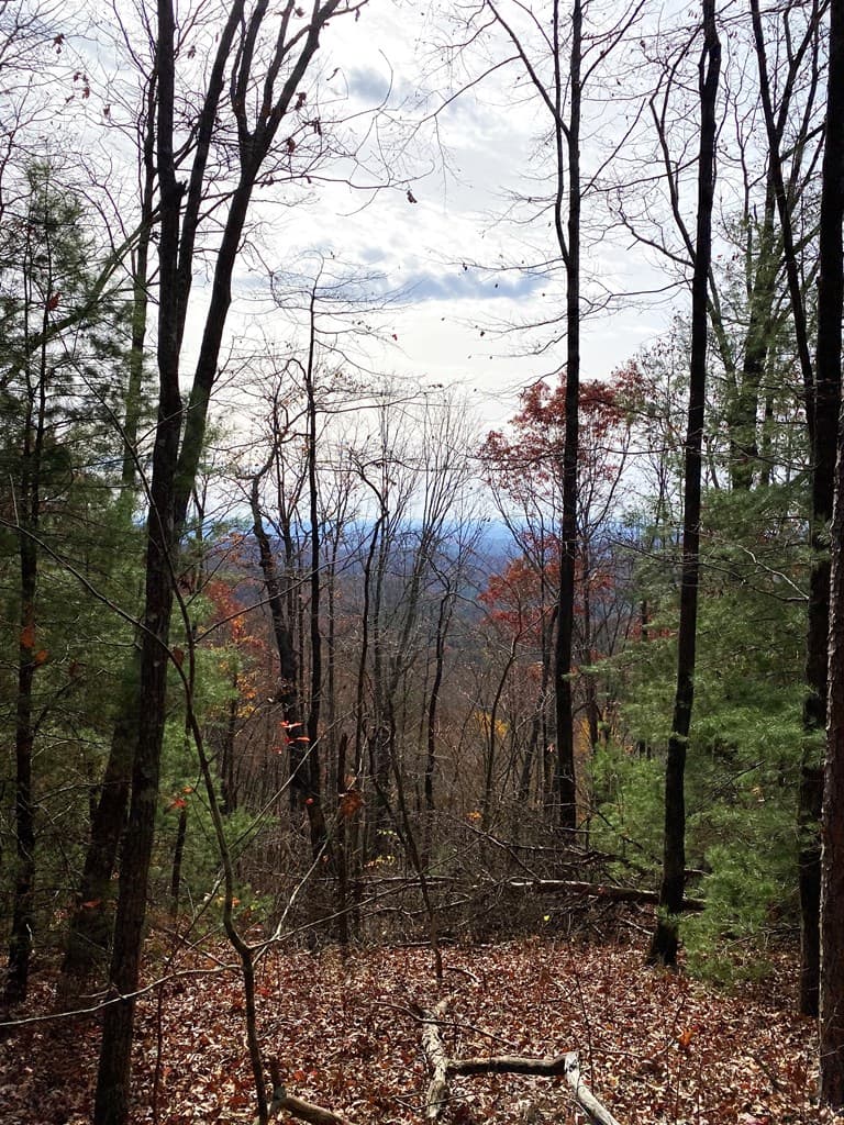 L334 335 Brushy Top Drive, Ellijay GA 30540 - Photo