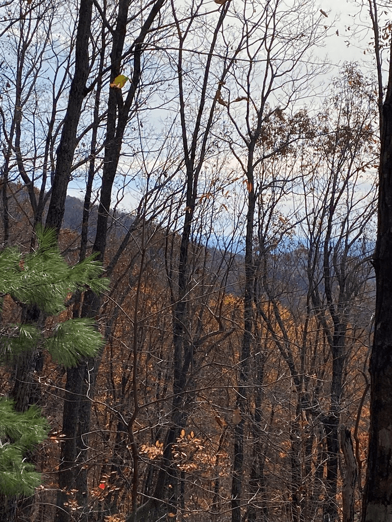 L334 335 Brushy Top Drive, Ellijay GA 30540 - Photo