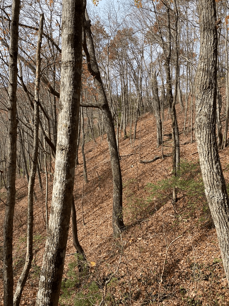 L334 335 Brushy Top Drive, Ellijay GA 30540 - Photo