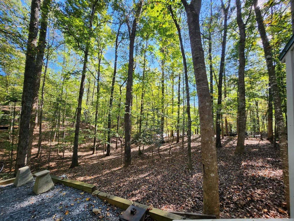 276 13th Street, Ellijay GA 30540 - Photo