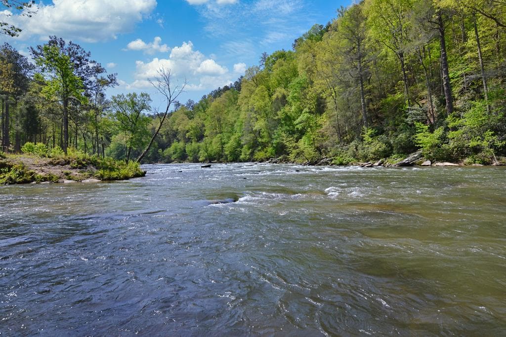 LT 269 River View Trail, Ellijay GA 30540 - Photo