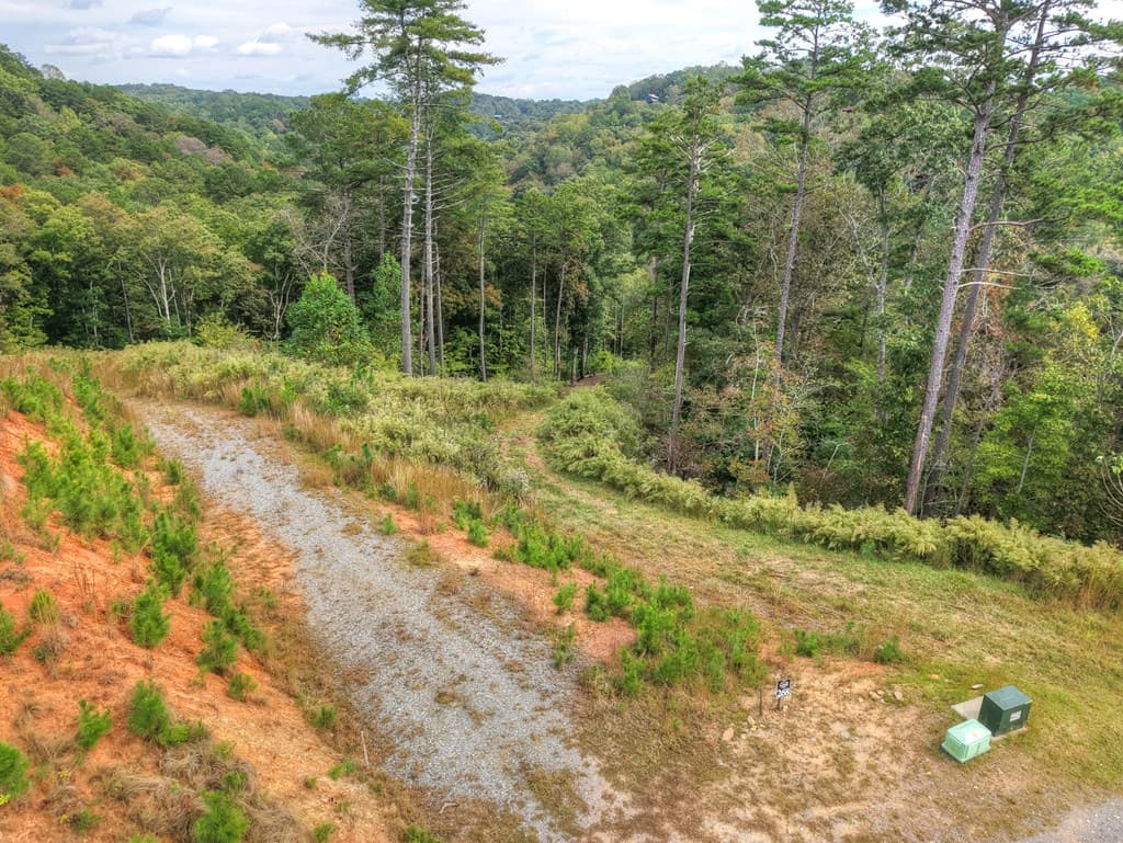 LT 269 River View Trail, Ellijay GA 30540 - Photo