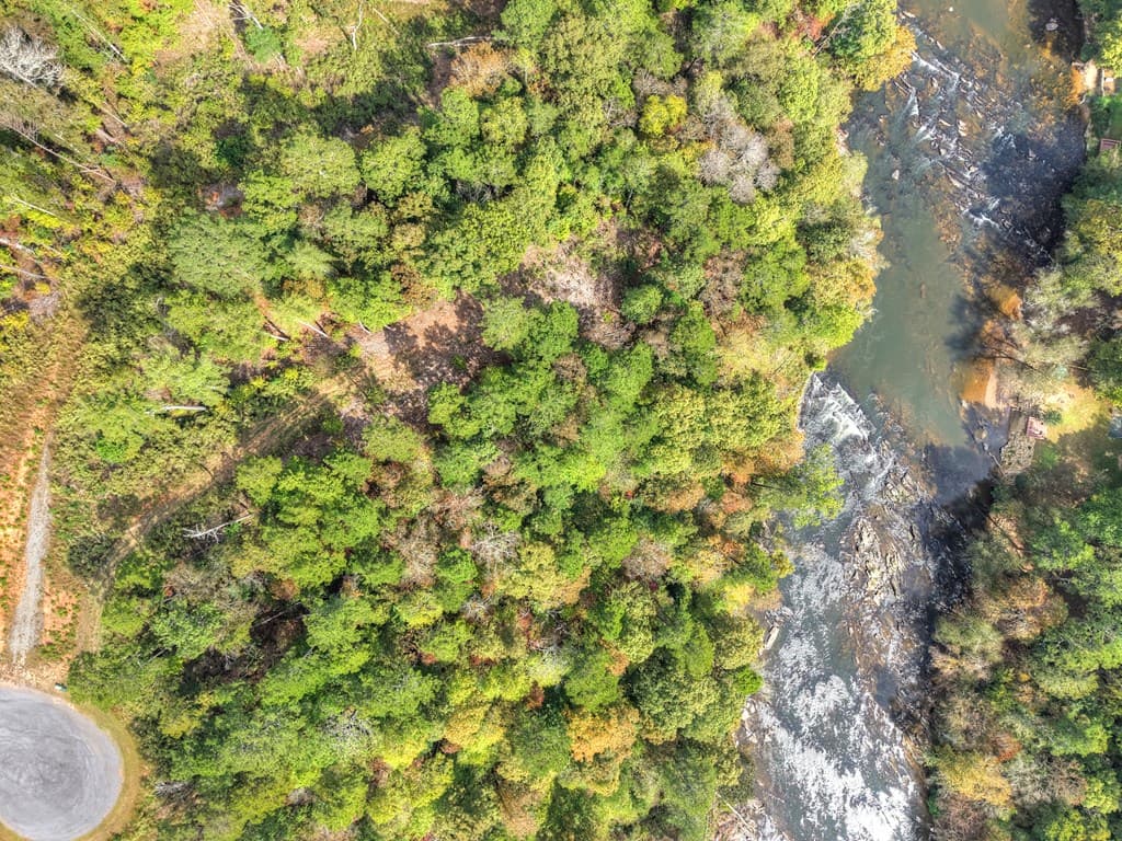 LT 269 River View Trail, Ellijay GA 30540 - Photo