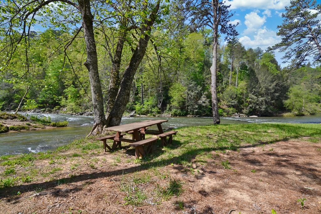 LT 269 River View Trail, Ellijay GA 30540 - Photo