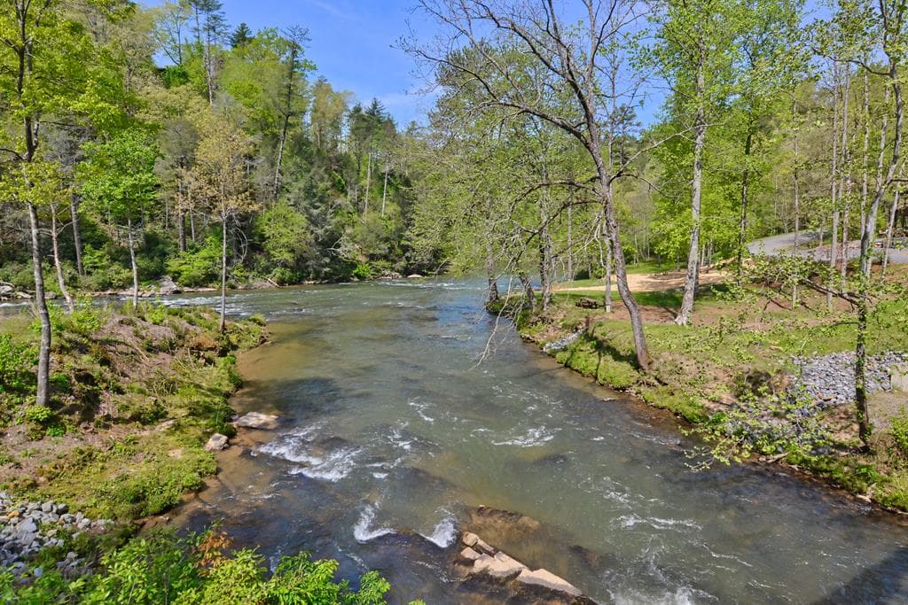 LT 269 River View Trail, Ellijay GA 30540 - Photo