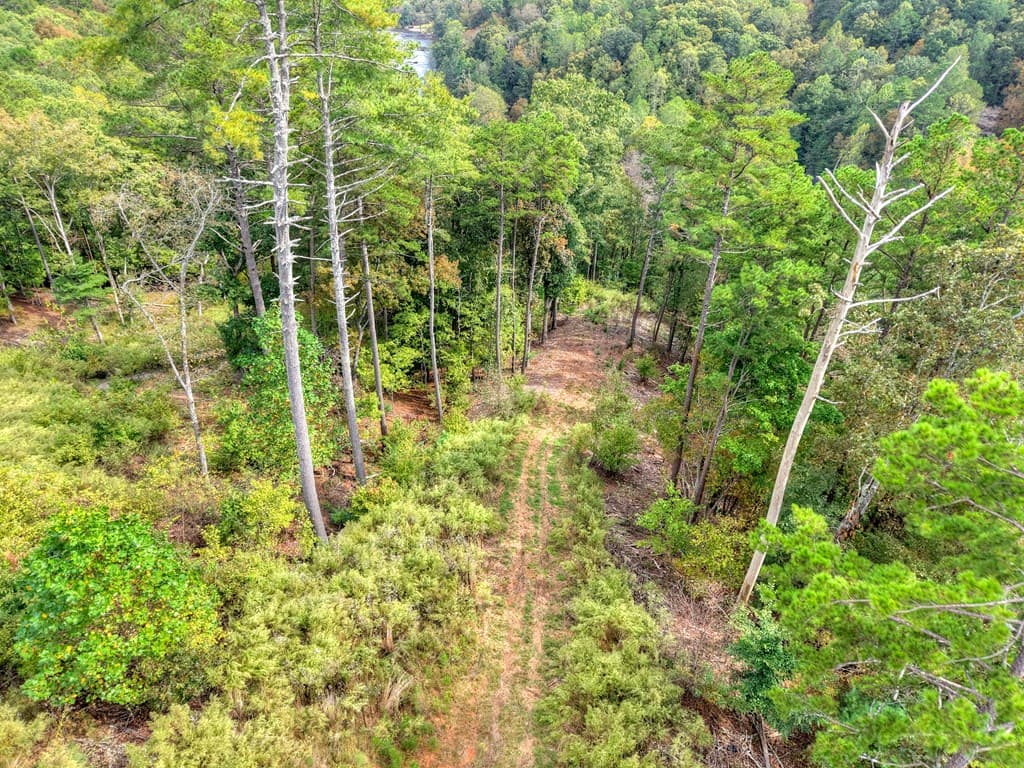 LT 269 River View Trail, Ellijay GA 30540 - Photo