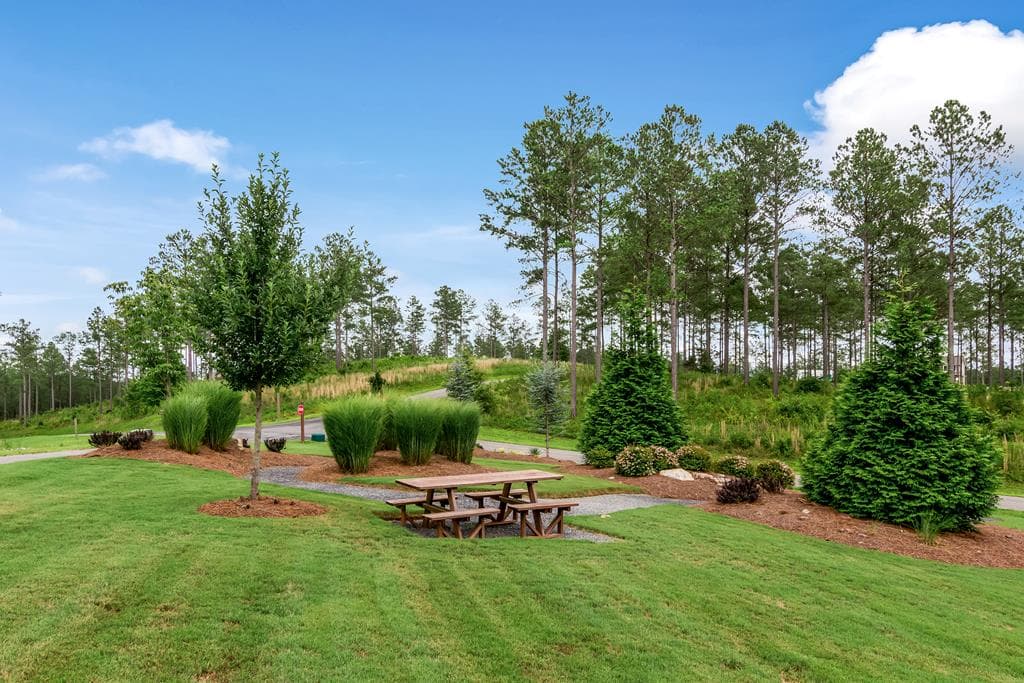LT 269 River View Trail, Ellijay GA 30540 - Photo