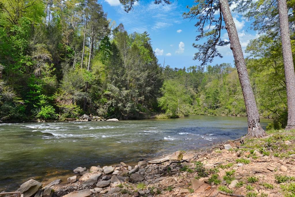 LT 269 River View Trail, Ellijay GA 30540 - Photo