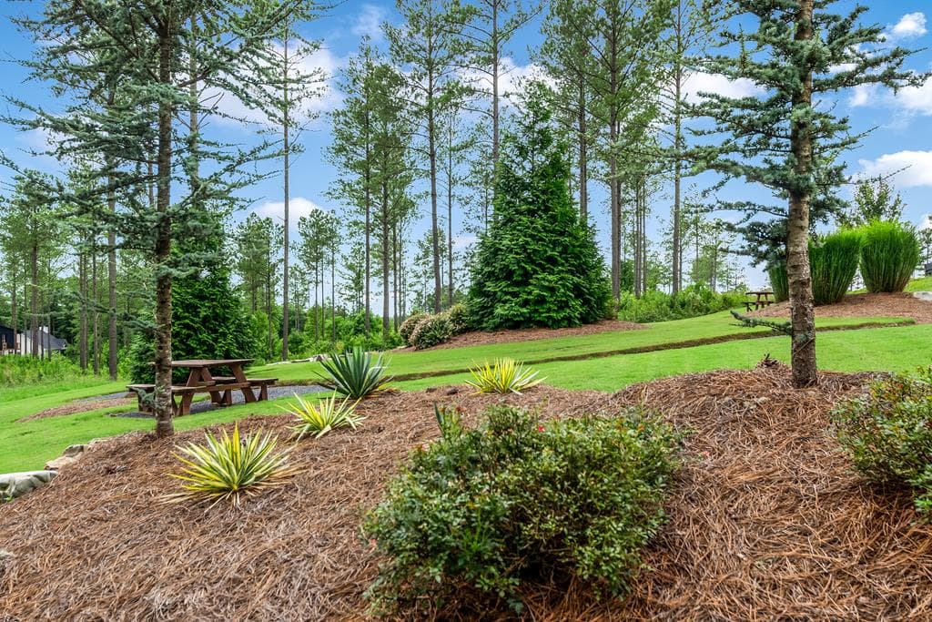 LT 269 River View Trail, Ellijay GA 30540 - Photo