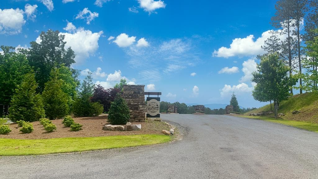 LT 269 River View Trail, Ellijay GA 30540 - Photo