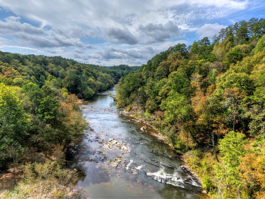 LT 269 River View Trail, Ellijay GA 30540 - Photo