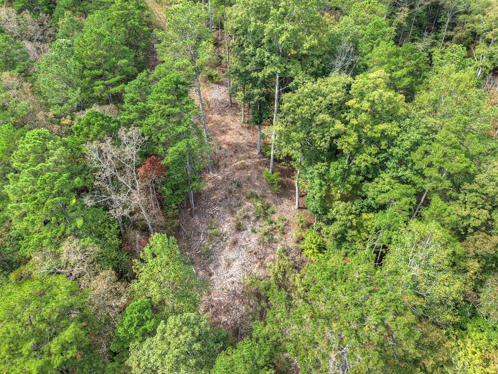 LT 269 River View Trail, Ellijay GA 30540 - Photo