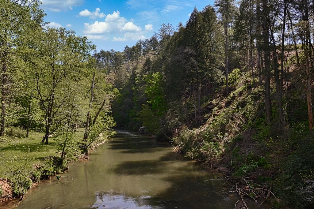 LT 269 River View Trail, Ellijay GA 30540 - Photo