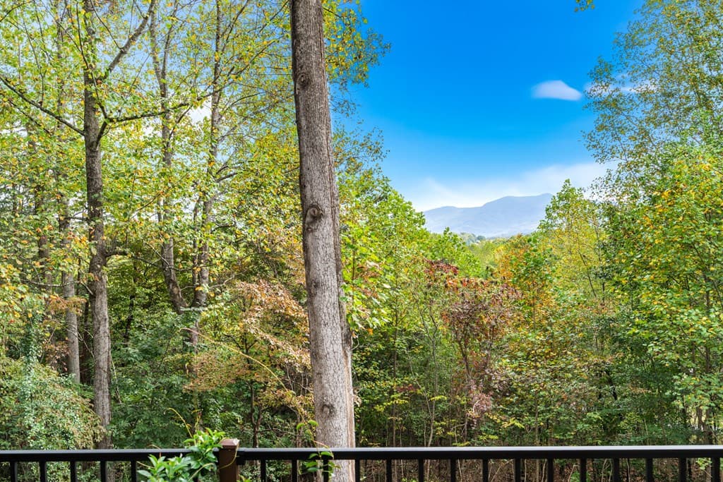 82 Hebron Way, Young Harris GA 30582 - Photo