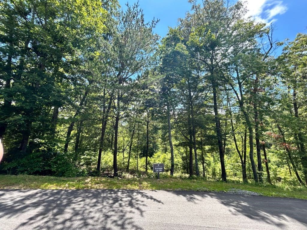 Lot 195 Trails End Way, Mineral Bluff GA 30559 - Photo