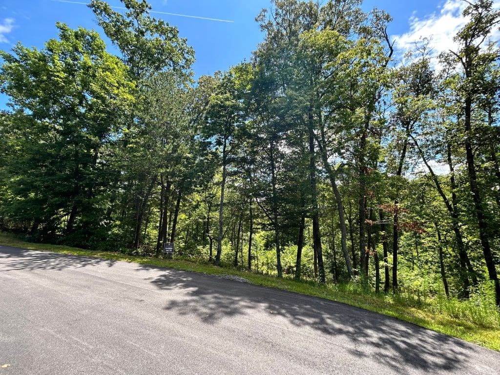 Lot 195 Trails End Way, Mineral Bluff GA 30559 - Photo