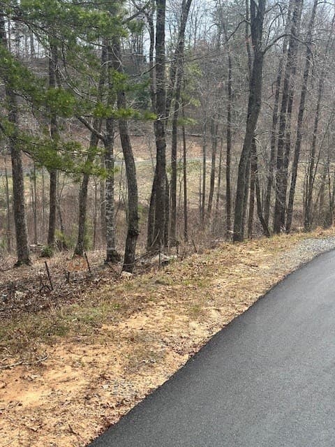Lot 195 Trails End Way, Mineral Bluff GA 30559 - Photo