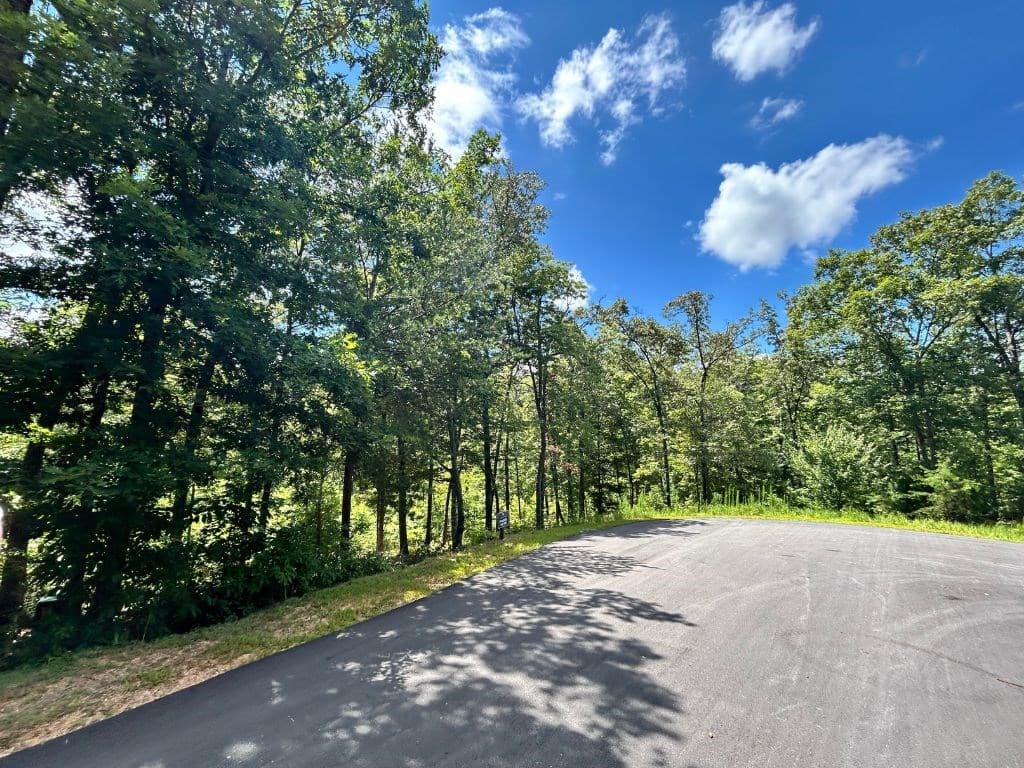 Lot 195 Trails End Way, Mineral Bluff GA 30559 - Photo