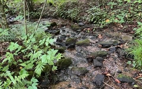 0 Trackrock Gap Road, Blairsville GA 30512 - Photo