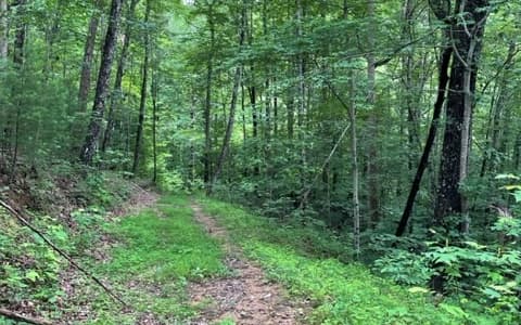 0 Trackrock Gap Road, Blairsville GA 30512 - Photo