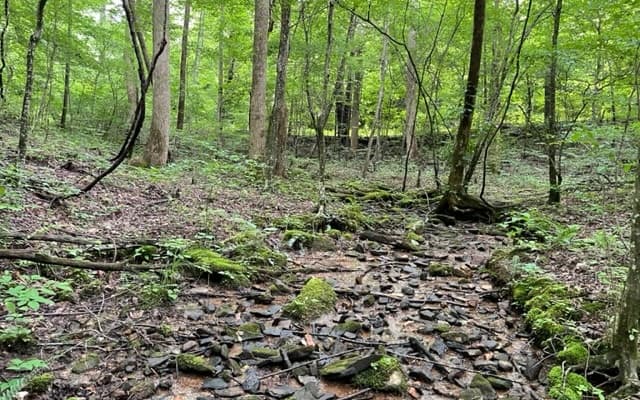 0 Trackrock Gap Road, Blairsville GA 30512 - Photo