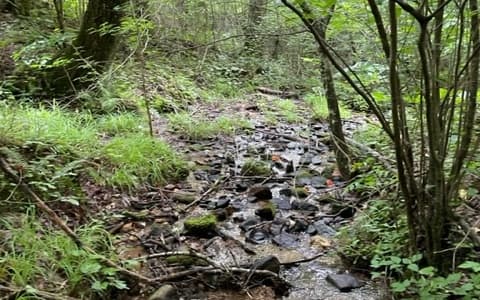 0 Trackrock Gap Road, Blairsville GA 30512 - Photo