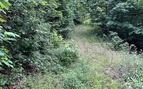 0 Trackrock Gap Road, Blairsville GA 30512 - Primary photo