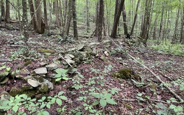 0 Trackrock Gap Road, Blairsville GA 30512 - Photo