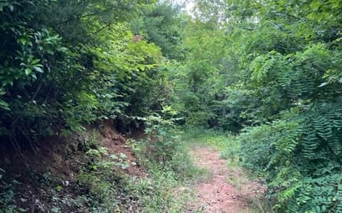 0 Trackrock Gap Road, Blairsville GA 30512 - Photo