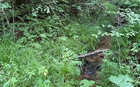 0 Trackrock Gap Road, Blairsville GA 30512 - Photo