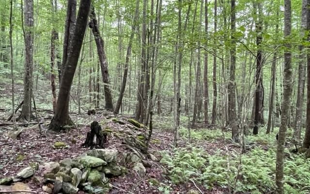 0 Trackrock Gap Road, Blairsville GA 30512 - Photo