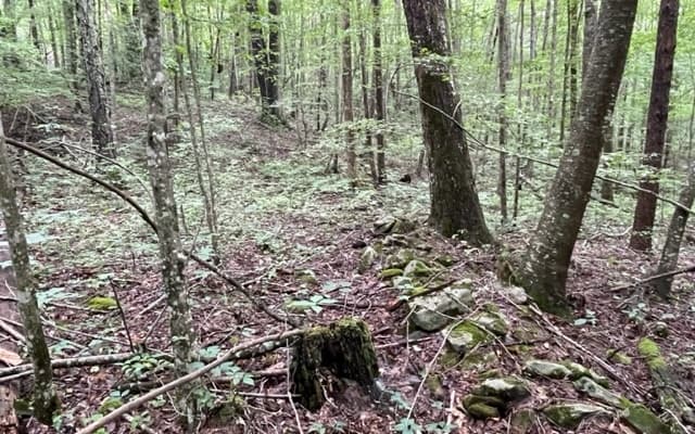 0 Trackrock Gap Road, Blairsville GA 30512 - Photo