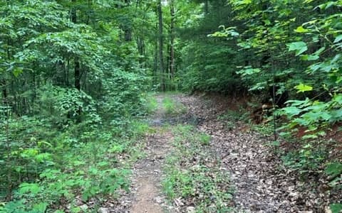 0 Trackrock Gap Road, Blairsville GA 30512 - Photo