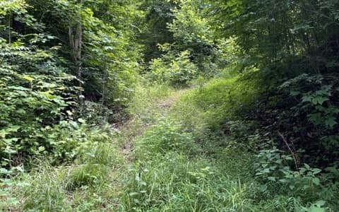0 Trackrock Gap Road, Blairsville GA 30512 - Photo