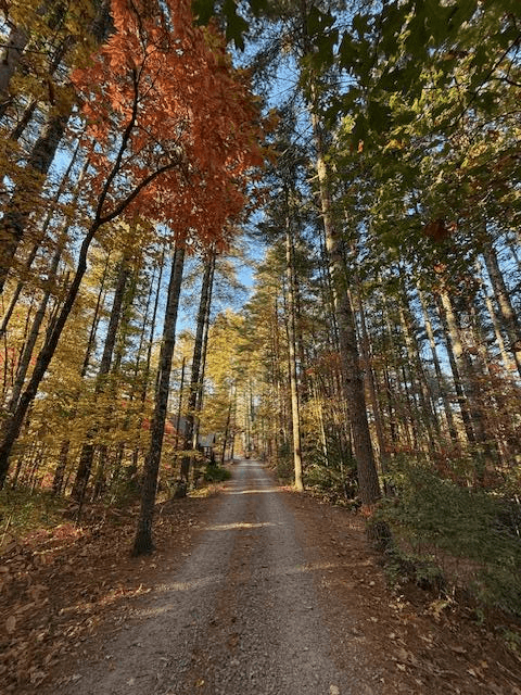331 Vineyard Creek Way, Murphy NC 28906 - Photo