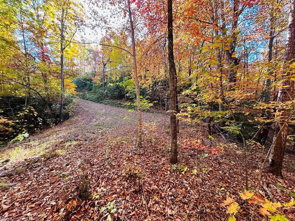 1306 Hot House Road, Hayesville NC 28904 - Photo