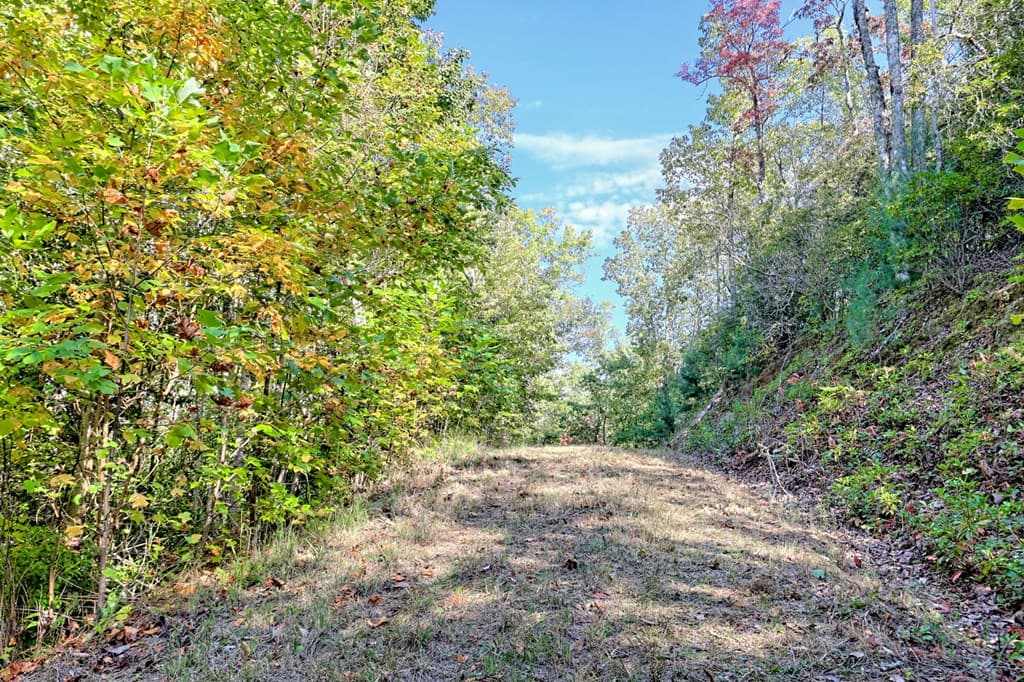 1306 Hot House Road, Hayesville NC 28904 - Photo