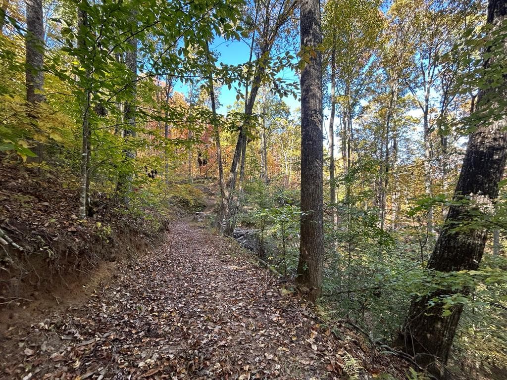 1306 Hot House Road, Hayesville NC 28904 - Photo