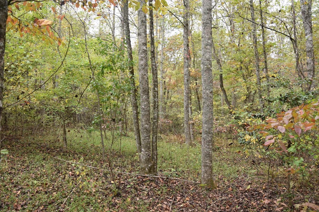 361 River Cove, Hayesville NC 28904 - Photo