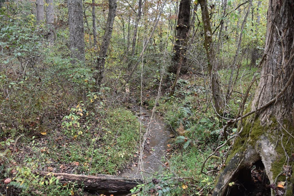 361 River Cove, Hayesville NC 28904 - Photo