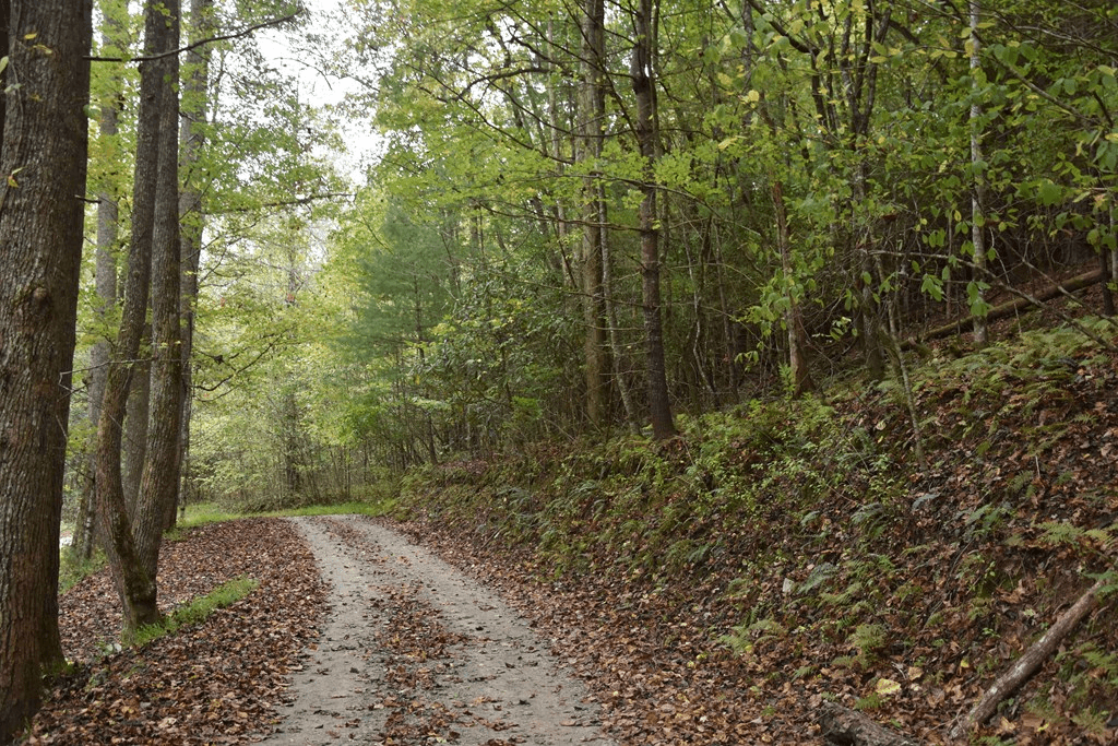 361 River Cove, Hayesville NC 28904 - Photo