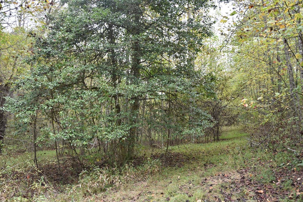 361 River Cove, Hayesville NC 28904 - Photo