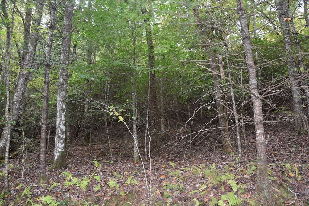 361 River Cove, Hayesville NC 28904 - Photo