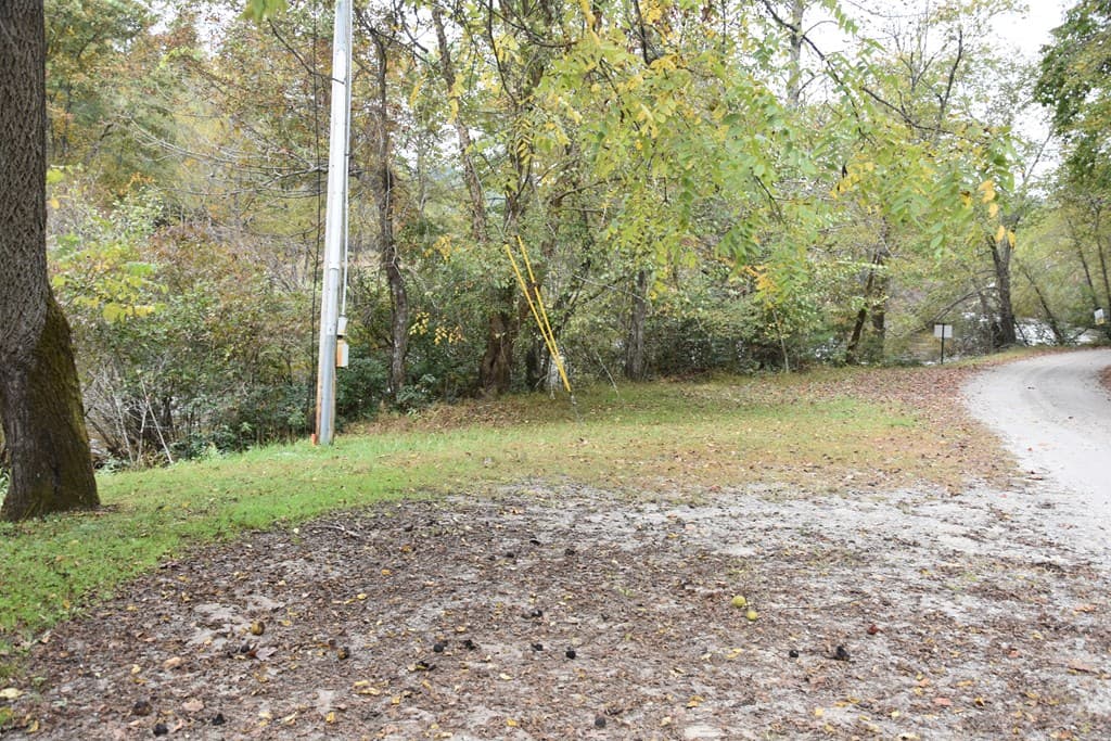 361 River Cove, Hayesville NC 28904 - Photo